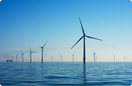 How to choose the right carbon credit projects for your company?