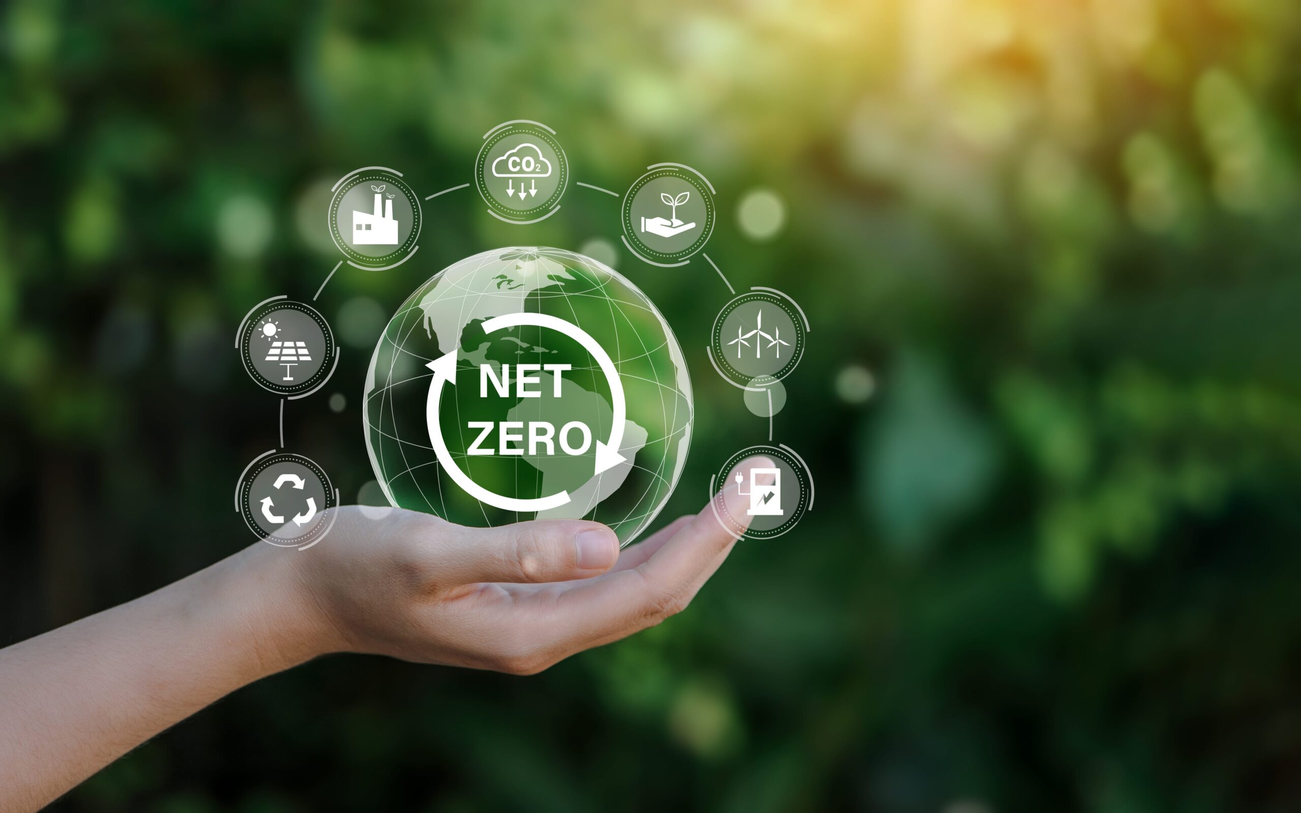 Net Zero Barometer Report: 1 in 5 UK businesses prioritizing carbon reduction amid challenging growth context