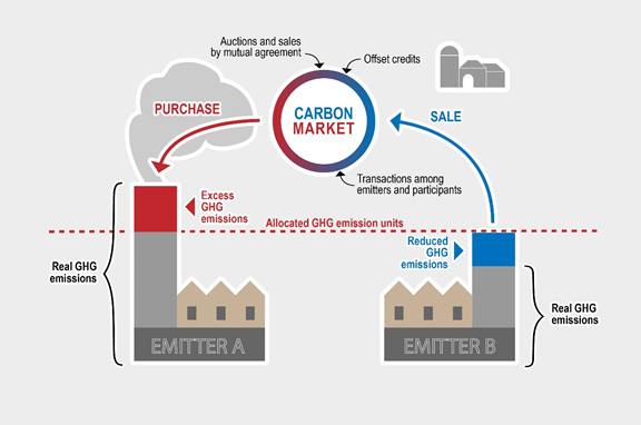 Understanding the Carbon Market: What is Carbon Market and how does it work?