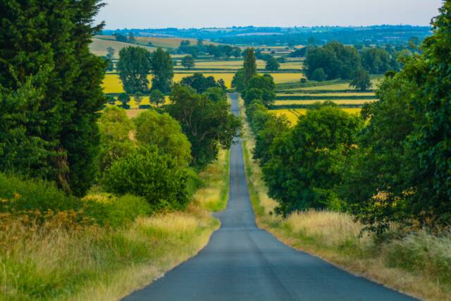 How to Start your Carbon Neutral Journey? (Simple 5 Steps Guide)